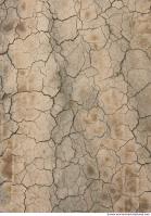 Soil Cracked 0009